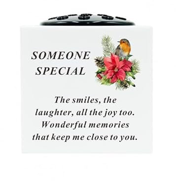 Someone Special White Plastic Robin Memorial Rose Bowl Flower Vase Grave Plaque Tribute Ornament