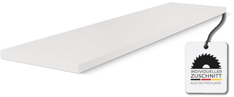 HausFux studioLINE MDF-Innenfensterbank nach Maß - 1,8 cm stark, melaminbeschichtet, mit ABS-Kante - Made in Germany - individueller Zuschnitt (Icy White, T x L | 25 x 70 cm)