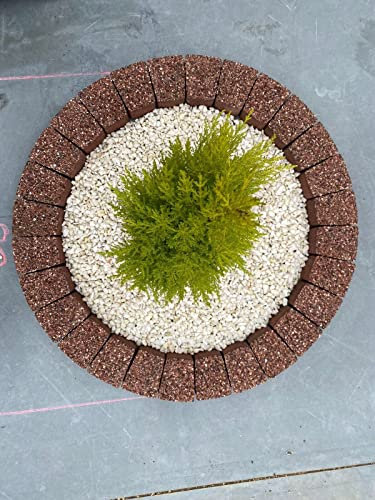 78 cm Garden Stone Circle Copper Tree Surround Granite Bricks Plant Flowers Ring Lawn Grass Border Edging Decorative Concrete Stones Fountain Statue Bird Feeder Base Surround Copper Slabs