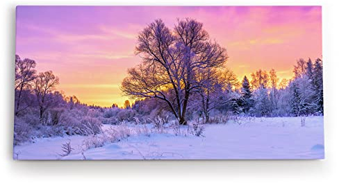 Paul Sinus Wandbild 120x60cm Baum im Winter Schnee Sonnenuntergang Natur Wald