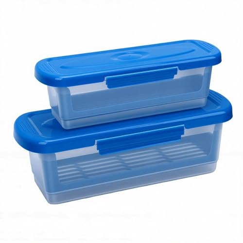 VBESTLIFE Bols à Pâte 2 Pièces avec Couvercles, PP, Réutilisables (BLUE)