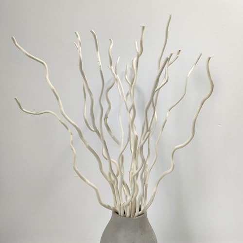 KKTHDM Branche de saule naturel ondulé séchée 15 tiges bâtonnets blancs décoratifs 56 cm, petites citrouilles artificielles 3 pièces pour la décoration de la maison (blanc)