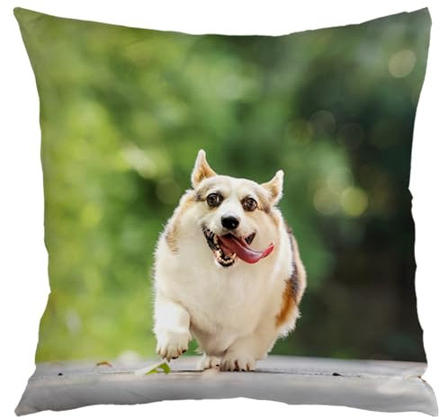 Kufutee Personalised Cushion Covers 18x18 Inch, Customised Pillow Case Cover with Photo Text Name Gifts for Boys Girls Women Men, Custom Car Sofa Cushions Cover (Pets)