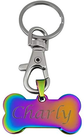 Hanessa Personalisierte Hundemarke mit Gravur rainbow Knochen Edelstahl 15x40 mm | Halsband Anhänger Hund Gravur | Namensschild Hundehalsband personalisiert