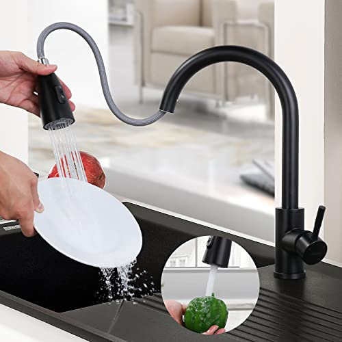 ARCORA Wasserhahn Küche, Hochdruck Küchenarmatur Ausziehbar Aus Edelstahl Mit M24 Aerator Wassersparend Armatur Küche 360° schwenkbar mit 3 Modi Spültischarmatur schwarz
