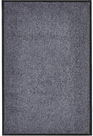 andiamo Premium-Fußmatte Wash & Clean - langlebige Schmutzfangmatte Hauseingang - als Fußmatte innen oder als Fußabtreter im überdachten Außenbereich - saugstarker Fußabstreifer 40 x 60 cm Anthrazit
