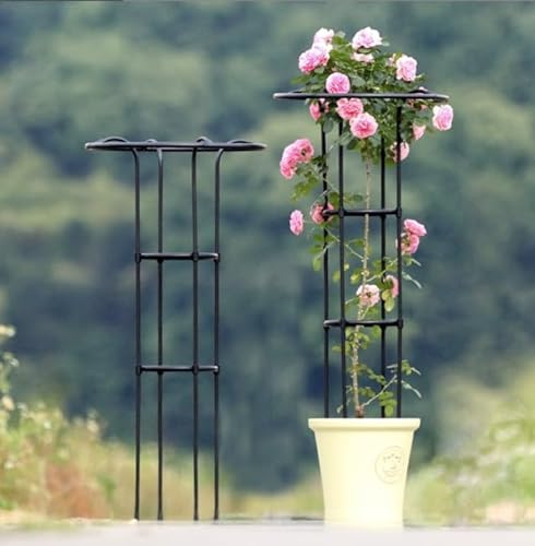 Grand treillis de jardin pour plantes grimpantes et fleurs grimpantes, support léger pour plantes obélisques, tour de plantes d'extérieur, treillage noir de 154,9 cm pour jardinage vertical et