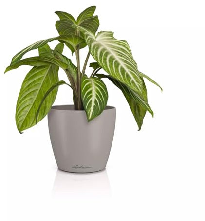 LECHUZA-Tischgefäß Classico Color 14 Deco Sandbraun, Matte Oberfläche, Ø 15 x 13,5 cm, 16682