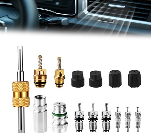Lyreh 15pcs Kit de Noyau Valve Climatisation, Noyaux Valve Réfrigération avec Joints Téflon & Bouchons pour R12 R134a Outils Réparation Système HVAC AC Voiture pour Maintenance Ligne Climatisation
