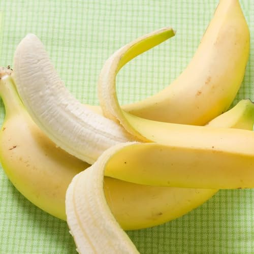 semillas de banano - banano - jardín de rocas resistentes de plátano, resistentes 100pcs