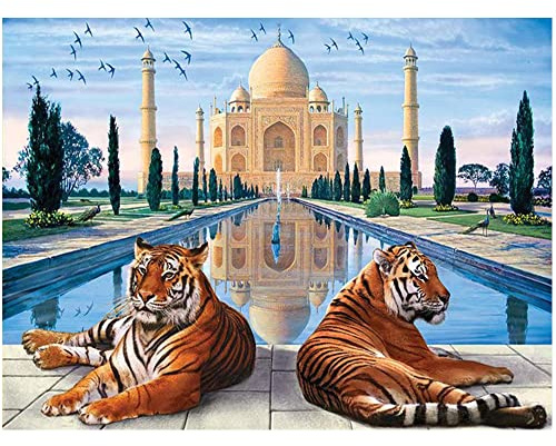 5D Diamond Painting Square Drill 50x40 cm Mosaico Fai Da Te Paesaggio Diamond Painting Taj Mahal Tiger Painting 5D Grande Dipingere con i numeri per Adulti con Cristalli Puzzle con Perline