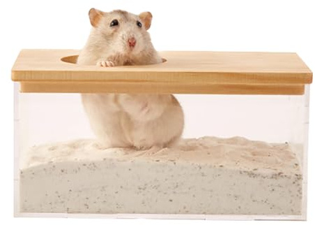 Sabbiera trasparente per criceti, per piccoli animali, habitat della tomba, contenitore per WC per topo, attrezzi decorativi per criceti, topi, conigli, soggiorno,