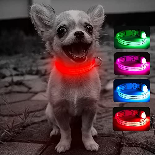 Leuchtendes Hundehalsband für kleine Hunde – wiederaufladbares LED-Hundehalsband, verstellbar, reflektierend, Welpenhalsband, LED-Katzenhalsband, leuchtende Sicherheitshundlichter für nächtliche
