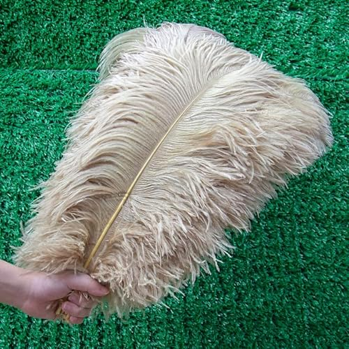 10 Stück/Lot weiße Straußenfedern für Hochzeit, Party, Dekoration, Basteln, Federn, Tischdekoration, Zubehör, Plumas, Bulk-Großhandel, Kamel, 40–45 cm