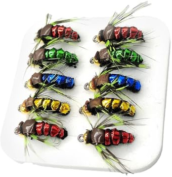 Juego de 10 Moscas secas para con Mosca, Juego de con Mosca, Juego Completo de con Mosca para Agua Salada y Agua Dulce