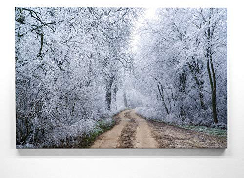Panorama-Bild vom Winter - Frostiger Waldweg - als 150x50cm großes XXL Leinwandbild. Wandbild als Hintergrund und Deko für Wohnzimmer & Schlafzimmer. Aufgespannt auf Holzrahmen