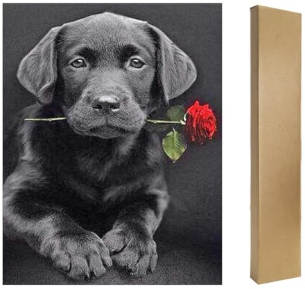 DCIDBEI Diamond Painting Eckige Steine 40x50 cm 5D Diamant Painting Bilder Sets Diamond Painting Hunde Labrador Rose DIY Daiments Painting Diamant Malerei Hund Malen nach Zahlen für Haus Wand