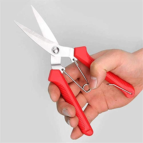 KHYTEBV Tijeras Tijeras de jardinería Tijeras de podar de Punta Micro Tijeras de podar Tijeras de Hojas Tijeras de floristería Rectas Tijeras para Plantas Clippe