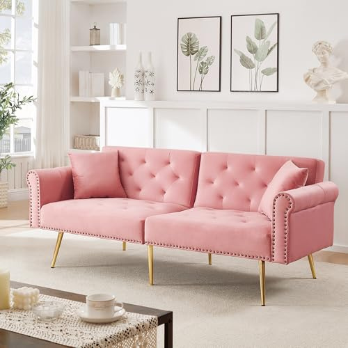 Arhatreya 2 Sitzer Sofa Gästesofa Modern Couch, 2er Sitzsofa mit 3-stufiger Verstellung und Metallfüße, Zweisitzer Polstersofa für Wohnzimmer Schlafzimmer Wohnung Gästezimmer, Samtstoff, Rosa