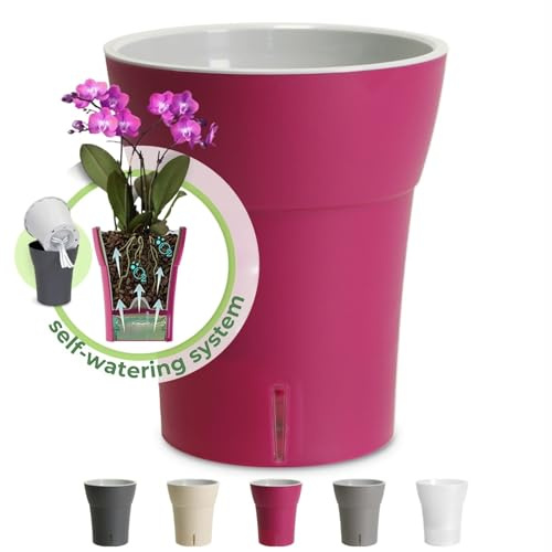 Happyplants Happy Plants DALI-DEA Clear Orchid Self-Watering Flower Pot Planter With Water Level Indicator Water Reserve And Drainage Holes (Ø12.5CM Ø15CM Ø16.5CM) (Fuschia, Ø 12.5CM - 1.25L)