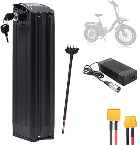 JCXYL EV Batteria al Litio per e-Bike da 48V 10Ah 20Ah e da 36V 10Ah 13Ah 15Ah 20Ah, Batteria per Bicicletta elettrica per Motori da 0-1000W per Mountain Bike.,48v,10Ah