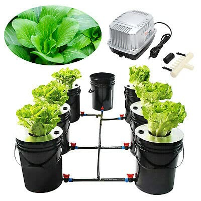 Deep Water Culture Bubbler Hydroponic System Kit komplett system jordlös DHL inomhus trädgårdsarbete hydroponisk odling Dwc inomhus odlingssystem jordlös 20 l hydroponisk odlingssystem hem ny