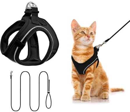 Katzengeschirr mit Leine 255cm XXS Set, Reflektierend (Schwarz) | Brustgeschirr Für Katzen & Welpen, Atmungsaktives Mesh, Anti-Ausbruch, Weich, Für Spaziergang