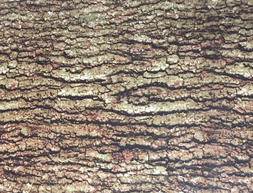 MST-DESIGN Wassertransferdruck Folie WTD Starter-Set groß I CA-R-004 Camouflage Real Tree 4 Meter in 50 cm Breite