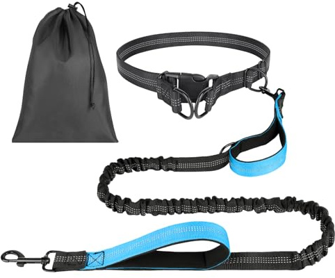 OFFCUP Guinzaglio Cani Mani Libere, Guinzaglio Da Jogging, Prolunga Elastica Con Borsa Portaoggetti per Addestramento, Camminata, Jogging E Corsa Con Cani (Azzurro, Per 1 Cane)