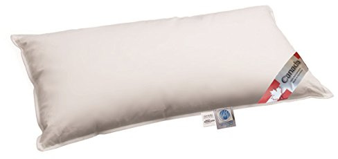 betten-traum-land Daunenkissen Gänse Daune Canadian Goose Kopfkissen weich mit 400 g Füllgewicht 40x80 cm