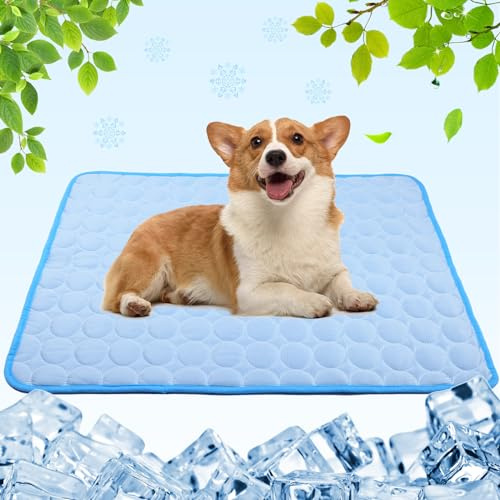 Aitsite Selbstkühlende Hundematte 55x70cm, Kühlmatte Hund & Katze waschbar aus Eisseide, Kühldecke für Hunde für Zuhause Auto Reise, Sommer Kühlkissen für große & kleine Haustiere Blau