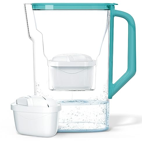 Wessper Carafe Filtrante pour Eau 2.7L, Filtre Remplacement de Dafi Unimax Aquaphor A5 BRITA Maxtra+ PHILIPS AWP212/10, Réduction du Calcaire, Chlore | Carafe Filtrante + Filtre à Eau AQUAMAX, Menthe