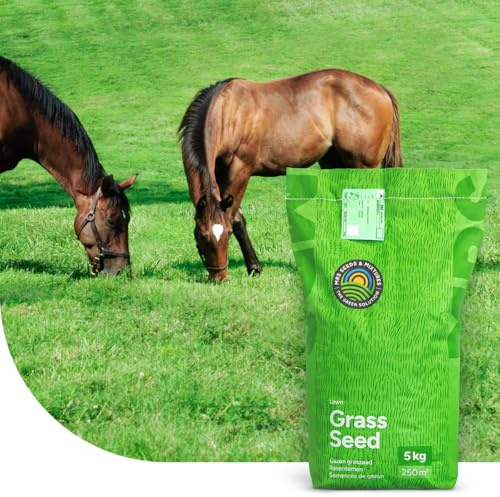 Grassamen Pferdeweide - Low fructan mix - 15 Kilo für 1.500 m² - Sehr niedriger Fruktangehalt - Ideal für Pferde & Alpakas - Weidegras für Beweidung, Heu- und Silageproduktion - MRS Seeds