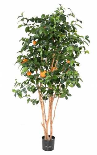 Künstliche – Orangenbaum Stamm natur Topf mit Obst H 180 cm orange – dimhaut: 180 cm – Farbe: orange