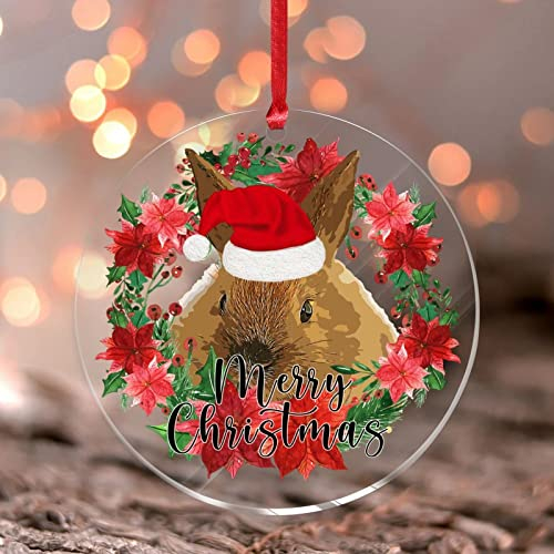 Kaninchen-Hasen-Hängeornamente Tannenzapfen Weihnachtsbaum Ornament Urlaub Weihnachtsbaum Party Dekorationen Bauernhaus klar rund Acryl Ornament Anhänger für Kinder Kinder Tochter Sohn