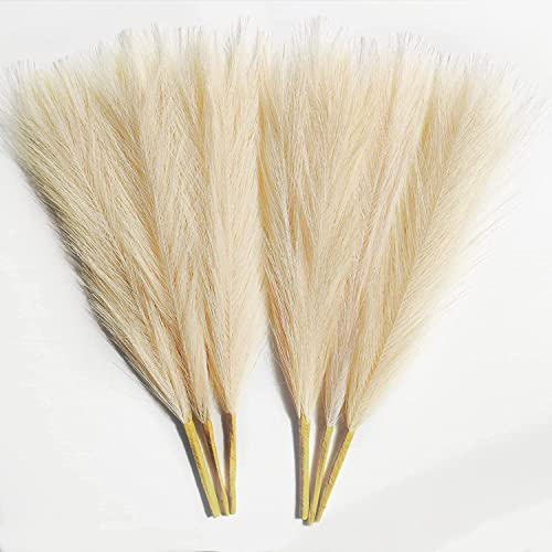 Erba di Pampa Artificiale, Decorazione di Erba Di Pampa - 6 Pz 18'' Erba di Pampa Finta - Piccoli Fiori di Erba di Pampa Artificiale Lanuginosi per Decorazioni per La Casa Boho,di Nozze(Beige)
