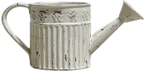 Kleine Gießkanne, kleine Gießkanne - Legierung Gießkanne Requisiten - Landschaft Feengarten Dekoration, Desktop Ornament Haus Spielzeug Haus und Gi