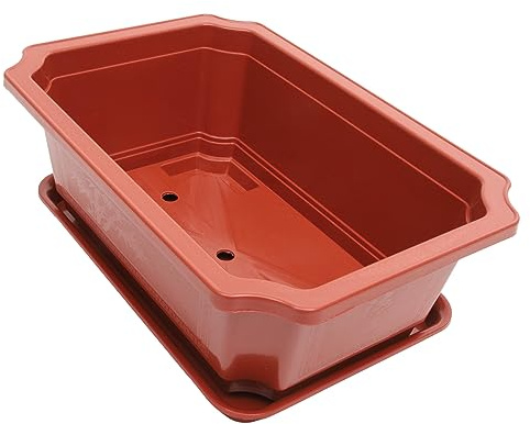 LOORGVEL Maceta Grande Ovalada para BonsáI con Bandeja Incluida Macetero De PláStico Resistente para Interior Y JardíN DecoracióN Y Cultivo FáCil