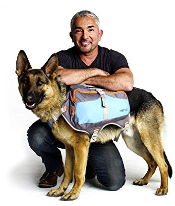 Cesar Millan Dog Backpack™ - Hunderucksack des Hundeflüsterers Cesar Millan™
