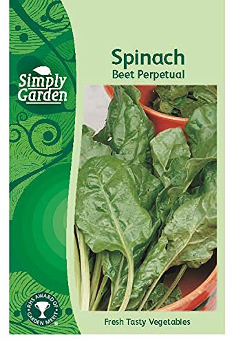 Simply Garden Spinach Beet Perpetual Fresh Vegetable Seeds Leafy Salad Grow Your Own Garden