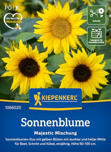 Kiepenkerl Sonnenblumensamen Majestic Mischung 1066020 – einjährige Blumensamen mit dunkler und heller Mitte mit Inhalt für 40 Pflanzen - Saatgut