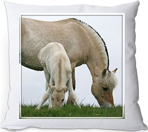 +++ FJORD Fjordpferd Norweger Pferd - Kuschelkissen/KISSEN | PILLOW/Dekokissen - FJO 48