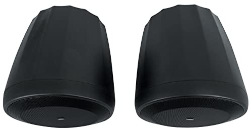 JBL Professioneller C60PS/T Hängender Subwoofer mit passiver Frequenzweiche, schwarz, paarweise
