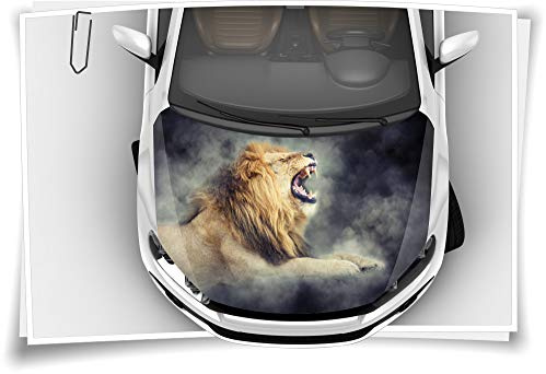 Medianlux Motorhaube Auto-Aufkleber Löwe Rauch Wildnis Tiere Smoke Schwarz Steinschlag-Schutz-Folie Airbrush Tuning Car-Wrapping Luftkanalfolie Digitaldruck Folierung