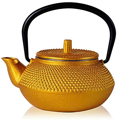 Tetera de hierro fundido Tetera de hierro fundido Estilo tetera con filtro Hervidor pequeño The New