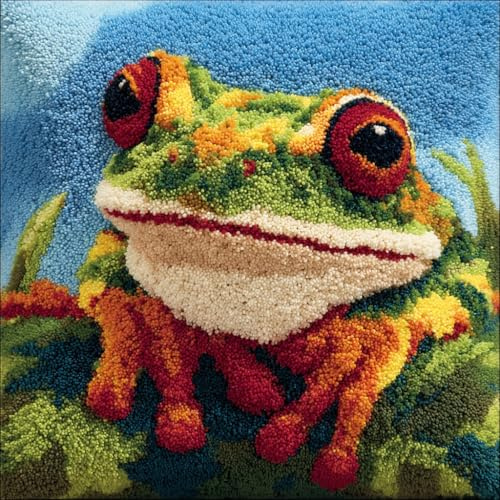 AMBATTERY Kit Crochet de Verrouillage Grenouille Set de Crochetage de Coussin 43X43cm DIY Kit De Coussin À Loquet Kits Tapis Point Noué