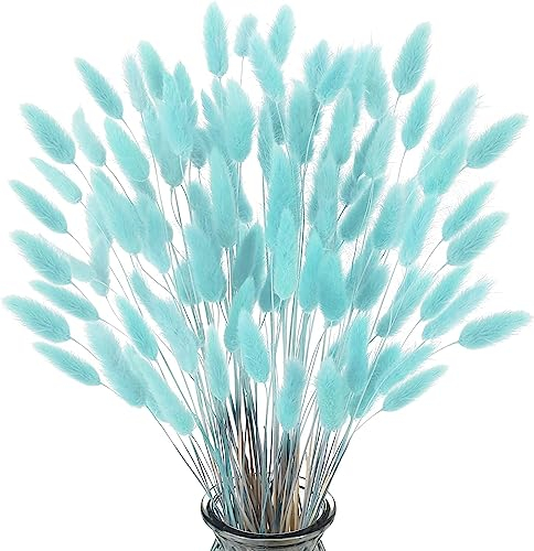 FANNAS 60 Pezzi Erba Della Pampas Fiori Secchi Coda di Coniglio Bouquet,Fiori Secchi Naturali,Boho Decor Bouque, Pampa di Coniglietto Essiccato per Matrimoni Home per La Casa (Blu Tiffany)