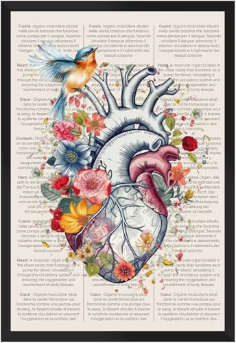 Vulfire Poster Anatomia del Cuore con Cornice Decorazione Murale Educativa Stampa Alta Qualità Regalo Studenti e Professionisti della Medicina. (Cuore - Cornice Nera A3)