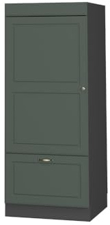 Vicco Armoire Micro-Ondes Fame-Line, Vert Or Campagne, 60cm, à Combiner avec d'autres modules de la série Fame-Line