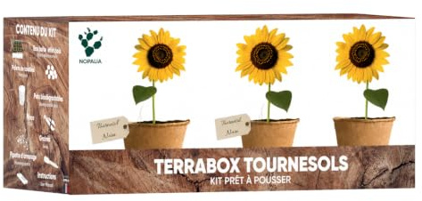 NOPALIA Terrabox solros odlingssats - redo att plantera, presentidé - solrosfrön för sådd, 3 krukor - komplett trädgårdsarbete för barn och vuxna, inomhus, balkong eller trädgård